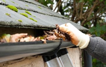 gutter cleaning Perry Street